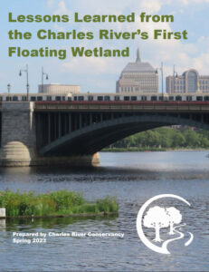Floating Wetland Report (cover image)